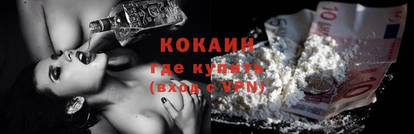 шишки Бердск