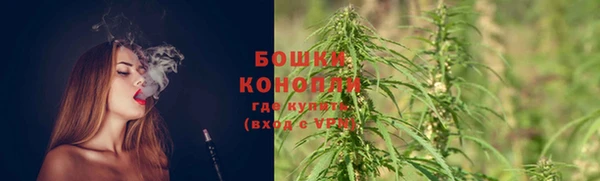 сатива Наволоки