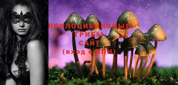 сатива Наволоки