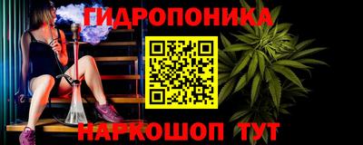 эйфоретик Гусь-Хрустальный