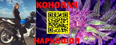 PSILOCYBIN Краснодар