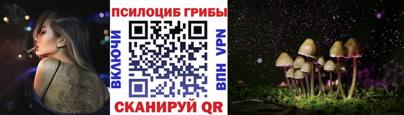 МЕГА зеркало  Кизилюрт  Галлюциногенные грибы мицелий 