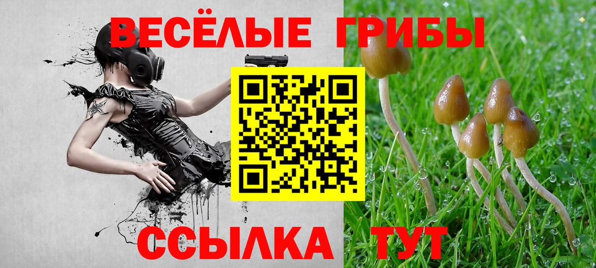 Галлюциногенные грибы мухоморы Кизилюрт