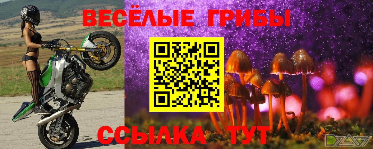 Псилоцибиновые грибы мухоморы  Кизилюрт  Псилоцибиновые грибы ЛСД 