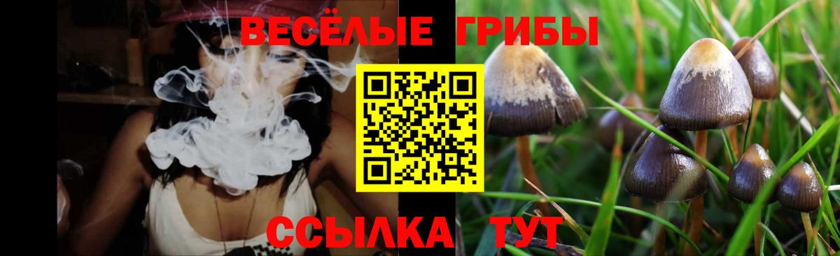 Галлюциногенные грибы ЛСД  Вход с VPN  Кизилюрт 
